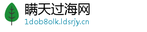 瞒天过海网
